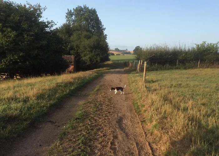 The Rear Of The Plough,Everdon.